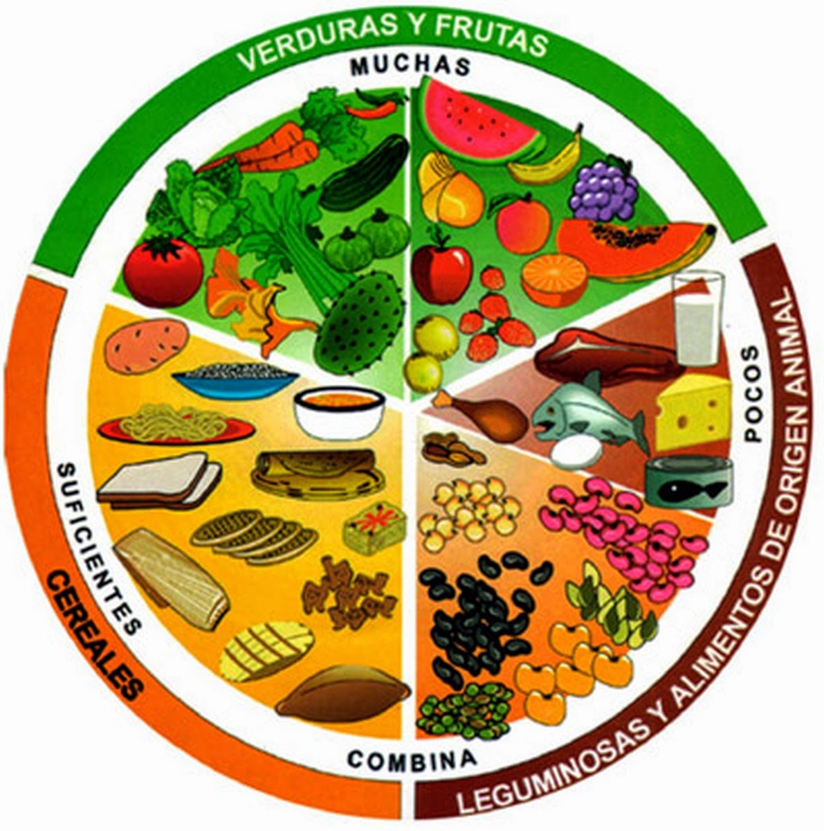 Nutrición equilibrada y saludable